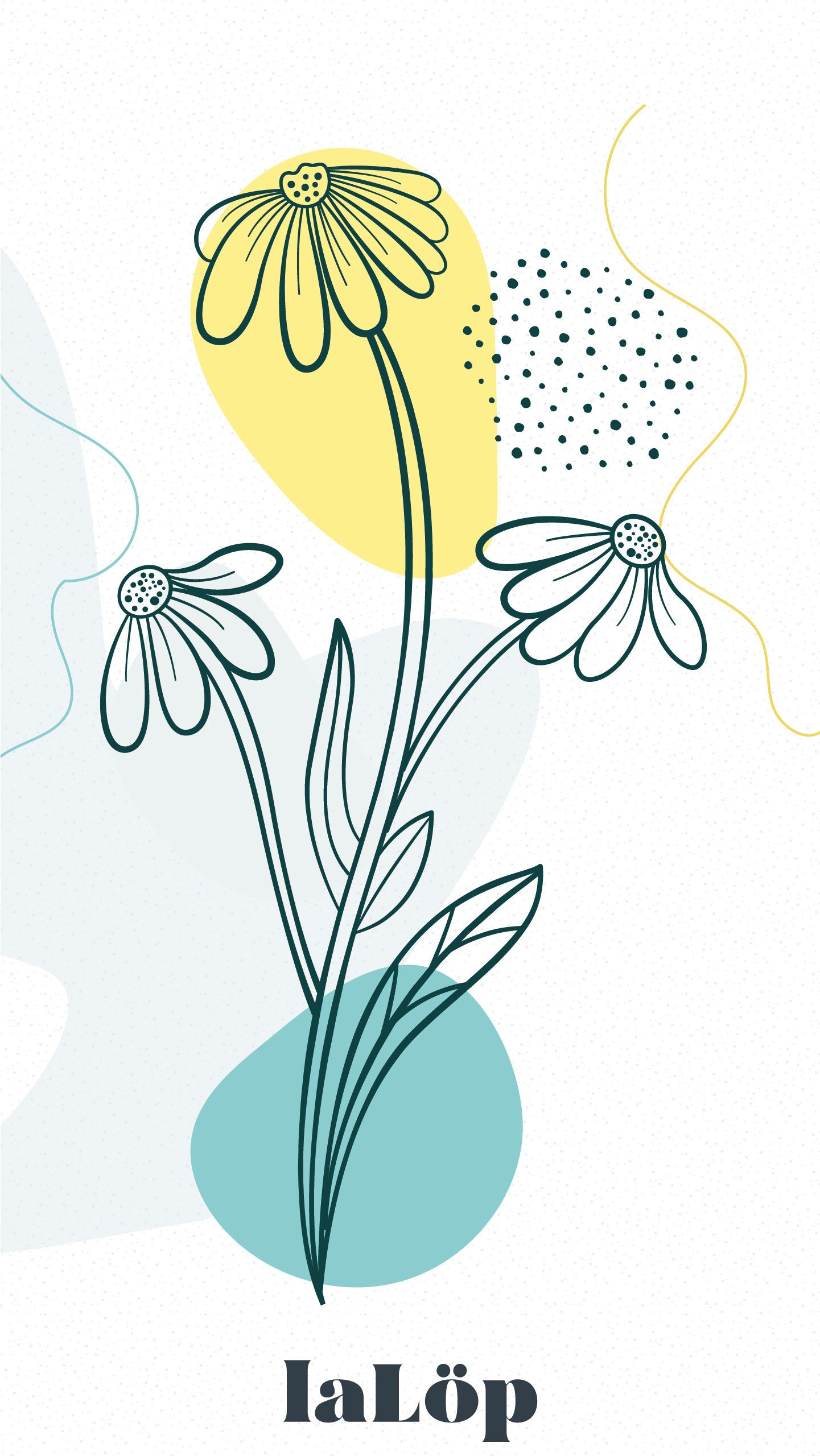 Wallpaper Spring Flowers Four
